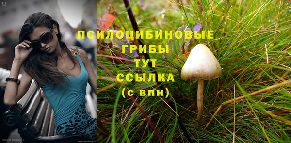 ALPHA PVP Волосово